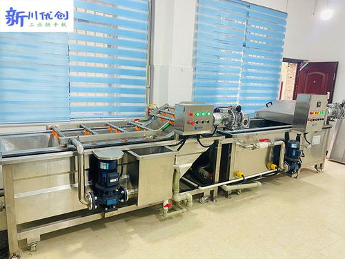 四川特色農(nóng)產(chǎn)品 蔬菜加工設(shè)備流水線